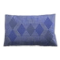 thumbnail image 1 of Ahgly Company Indoor Rectangular Contemporary Lumbar Throw Pillow, 13 inch by 19 inch, 1 of 5