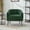 Green, variant on Kepooman 29.9" Modern Accent Chair with Metal Legs and Channel Tufted, Reading Chair with Modern Upholstered Chenille for Bedroom, Living Room, Reception, Study Room, Office, Black