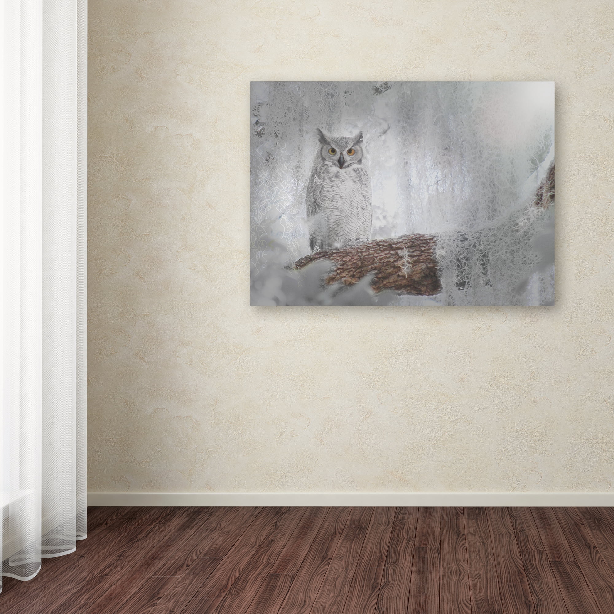 Trademark Fine Art 'Owl Dreams' Canvas Art by Patty Tuggle