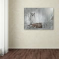 thumbnail image 3 of Trademark Fine Art 'Owl Dreams' Canvas Art by Patty Tuggle, 3 of 3