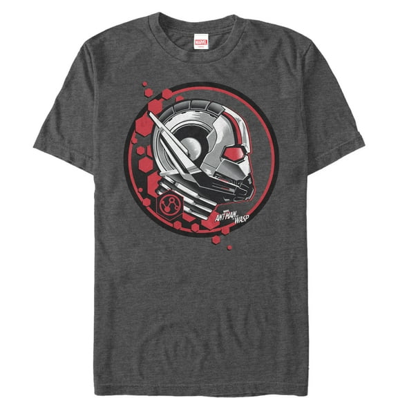 Men's Marvel Ant-Man and the Wasp Stamp  Graphic Tee Charcoal Heather 4X Large
