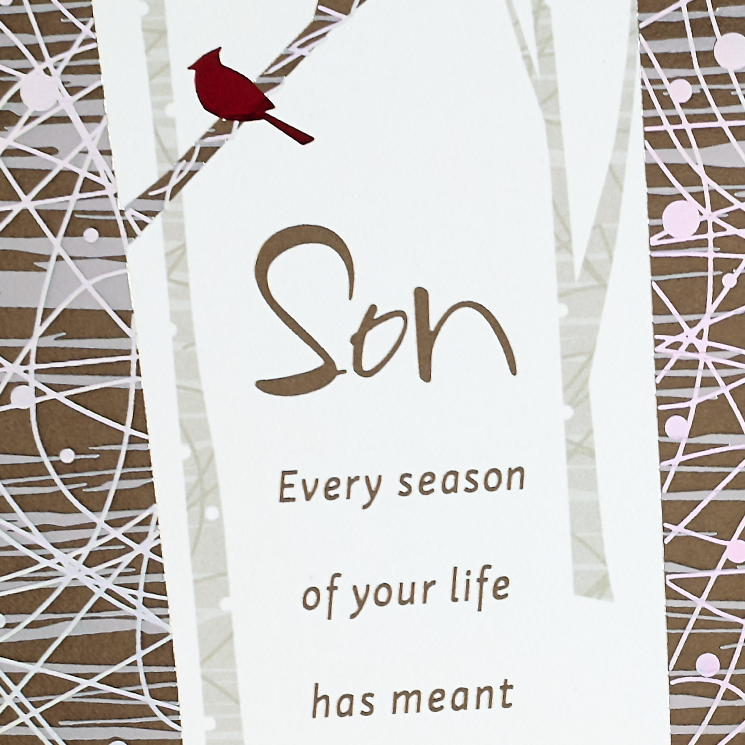 Hallmark Christmas Greeting Card for Son (Pride, Joy and Love)