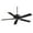 Black, variant on Minka-Aire Sundowner 54-Inch 5-Blade Ceiling Fan in Heritage Finish W/ Black Blades - F589-HT