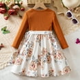 thumbnail image 2 of Eltusu Girls Winter Dress, Thermal Princess Ruffle sleeve Cotton Tutu Dress Brown Size 2-3 T, 2 of 7
