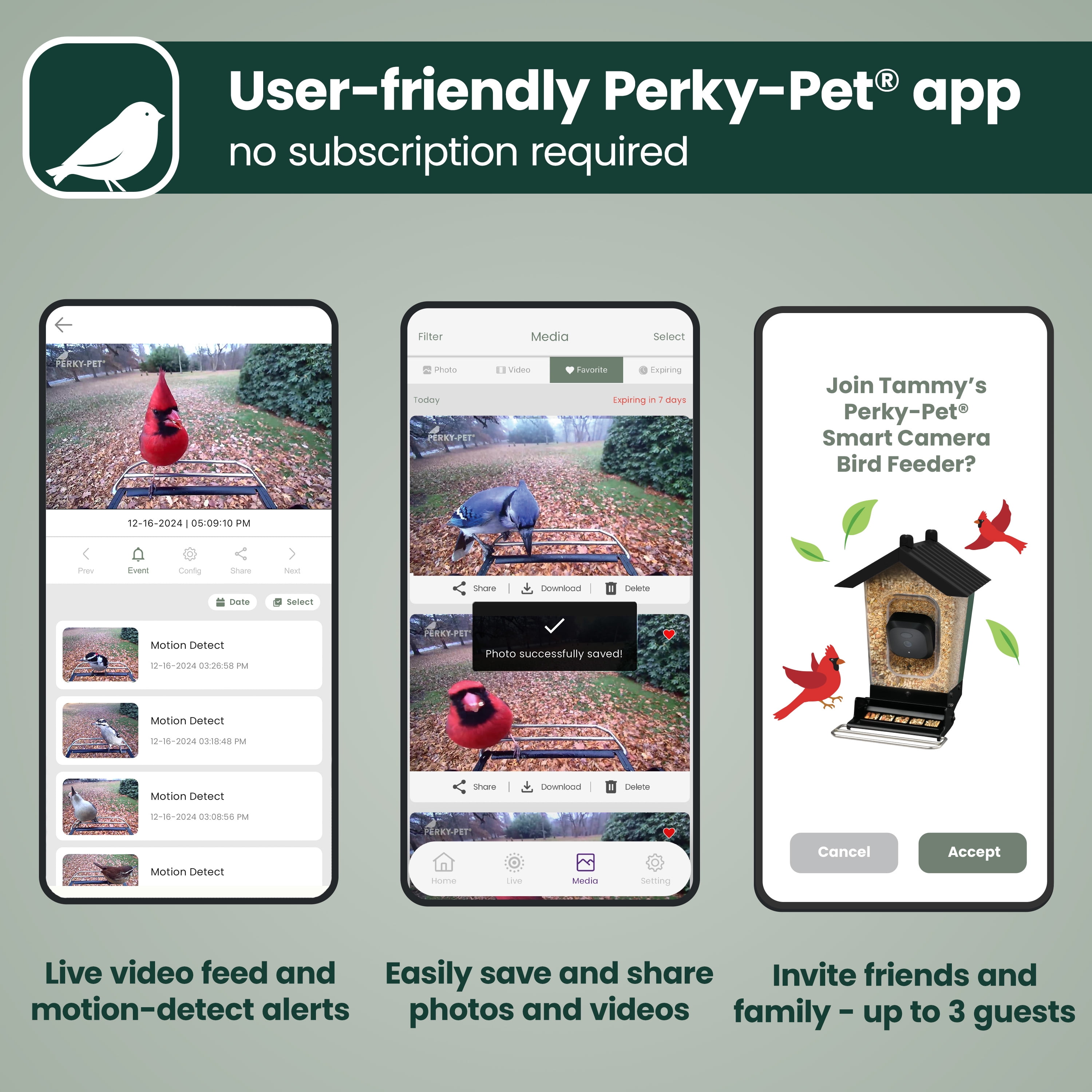 Perky-Pet Solar Powered Smart Bird Feeder with Camera