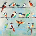 thumbnail image 3 of Atelier B Art Studio 20x20 Black Modern Framed Museum Art Print Titled - Small Abstract Colorful Birds, 3 of 5