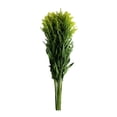 thumbnail image 1 of Bouquet filler 8 tallos, 1 of 1