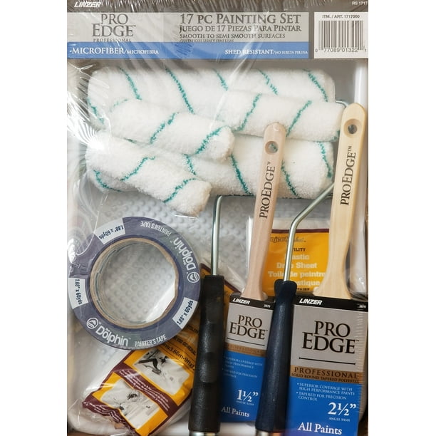 Pro Edge Professional 17pc Painting Set