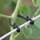 thumbnail image 3 of BR-Life 200 Piezas Clips de Injerto de Uva Planta de Jardín Vegetal Abrazadera de Vid Soporte Reutilizable Clips de Plantación Gancho de Tirador de Vid para Jardín Vegetal Tomate Cereza, Negro esquí esquí Gafas de esquí, 3 of 5