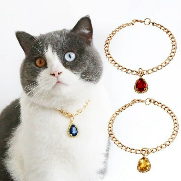 Chain collar top for cats