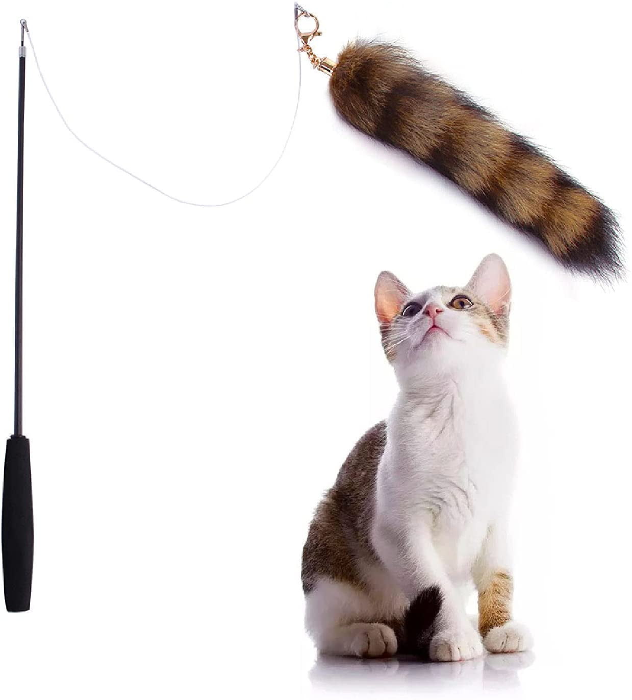 cat training wand