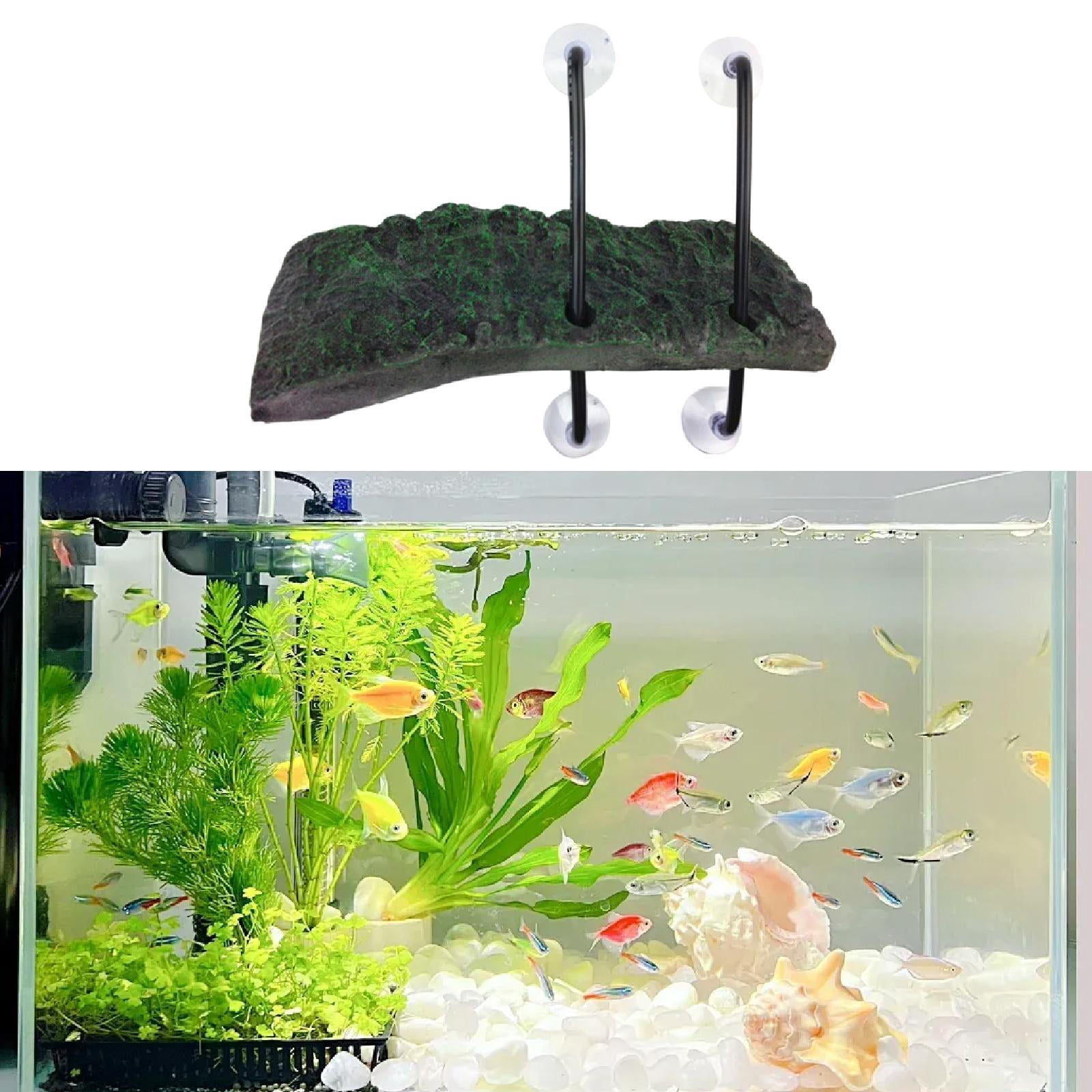 Reptile Ledge Floating Platform Climbing Dock with Lifelike Rock Appearance for Bearded Dragons Lizards Geckos