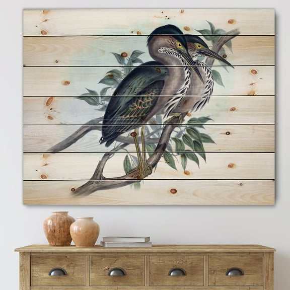 Designart 'Ancient Australian Birds VII' Traditional Print on Natural Pine Wood