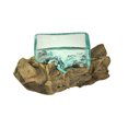 thumbnail image 4 of Rectangular Glass On Driftwood Decorative Bowl/Vase/Terrarium Succulent Planter, 4 of 5