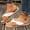 Orange, variant on Crunowin Women's Open-Toe Flat Sandals, Versatile Elegant Plus-Size Spring/Summer Trendy Fabric Casual Outdoor Wear Khaki 8.5