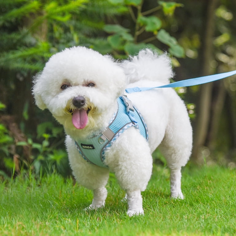 Reflective Step-In Harness and Leash Set, Extra Small photo 3