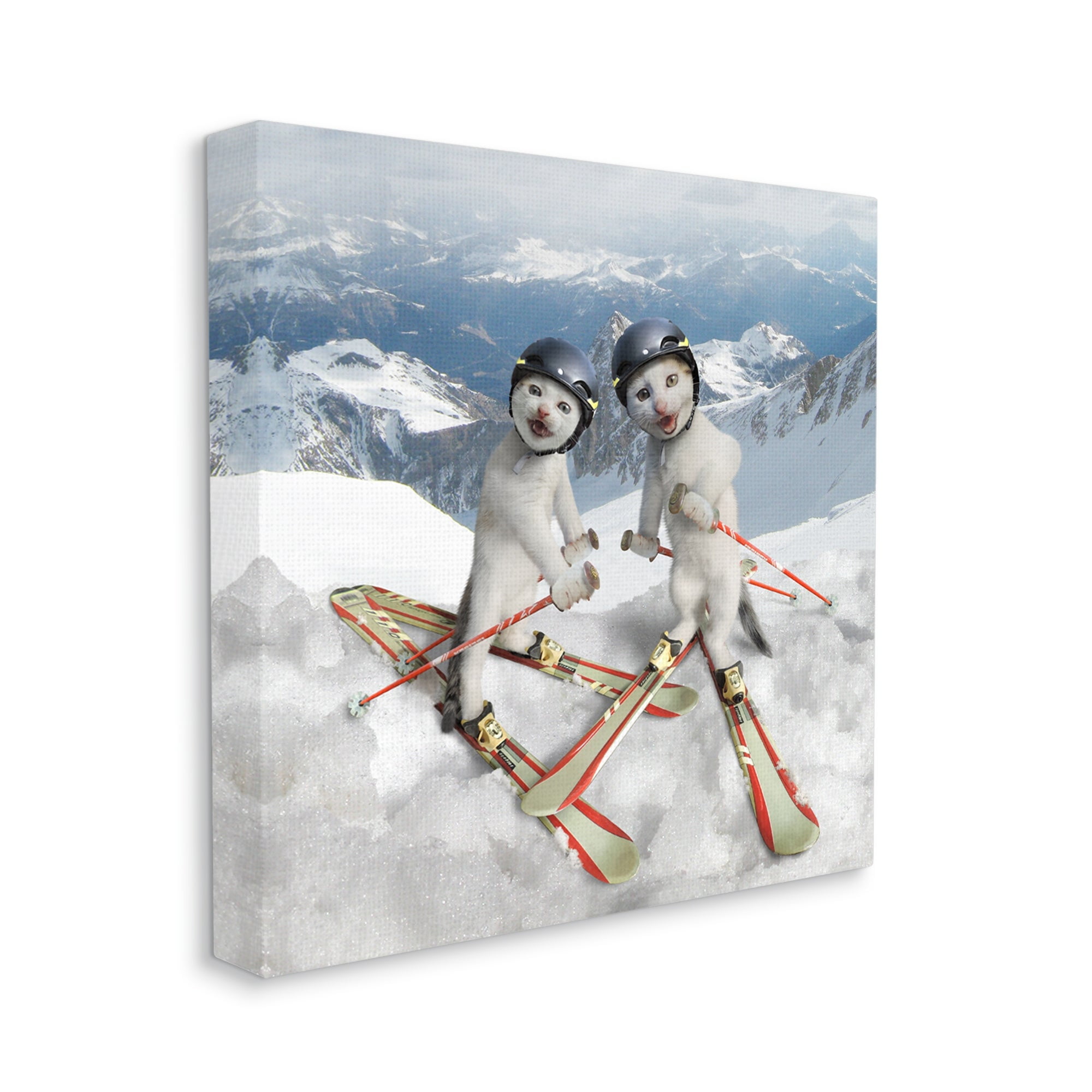 Stupell Industries Humorous White Cats Skiing Gear Snowcapped Mountains Graphic Art Gallery Wrapped Canvas Print Wall Art, Design by Chiara