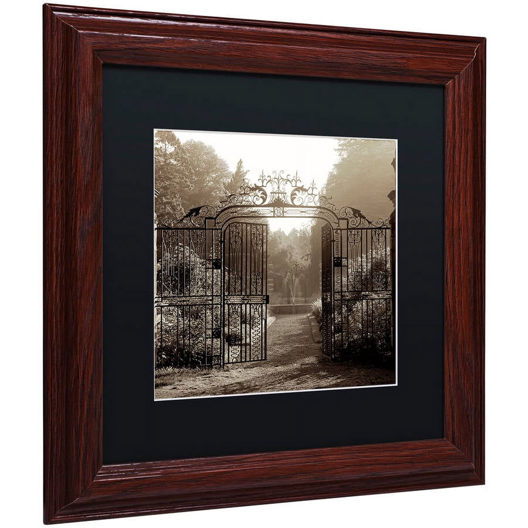 Trademark Fine Art "Hampton Gates III" Canvas Art by Alan Blaustein, Black Matte, Wood Frame