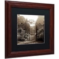 thumbnail image 2 of Trademark Fine Art "Hampton Gates III" Canvas Art by Alan Blaustein, Black Matte, Wood Frame, 2 of 4