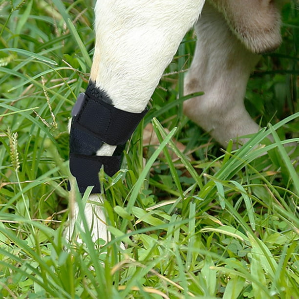 Dog leg bandage protector deals