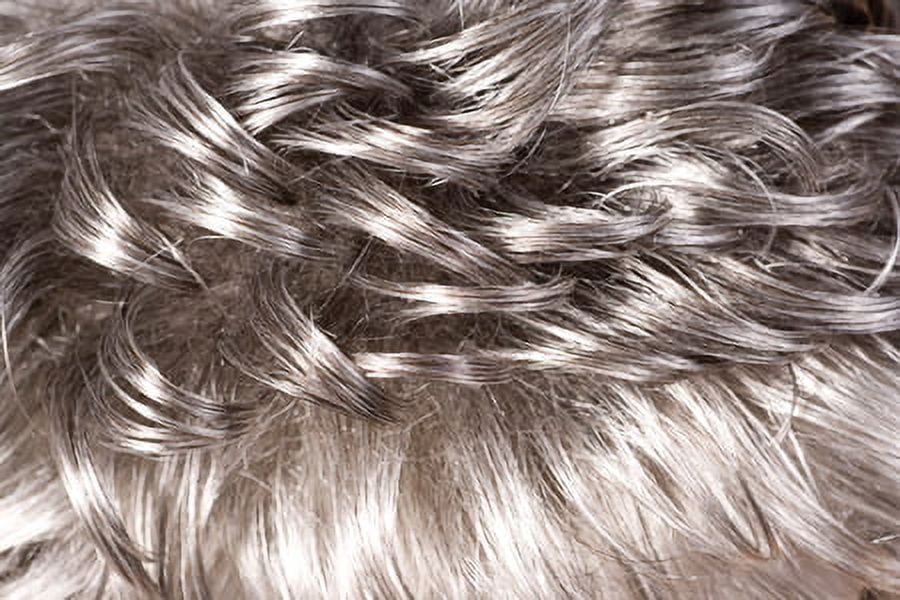 Foxy Silver - H/H DONNA - Human Hair Full Wig in 3T51
