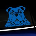 thumbnail image 1 of Peeking Bulldog - Vinyl Car Decal - Choose Color - [AZURE BLUE], 1 of 1