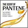 thumbnail image 4 of PANTENE Pantene Pro-V Radiant Color Shine Shampoo and Conditioner Bundle Pack (12.6 fl oz & 12 fl oz), 4 of 5