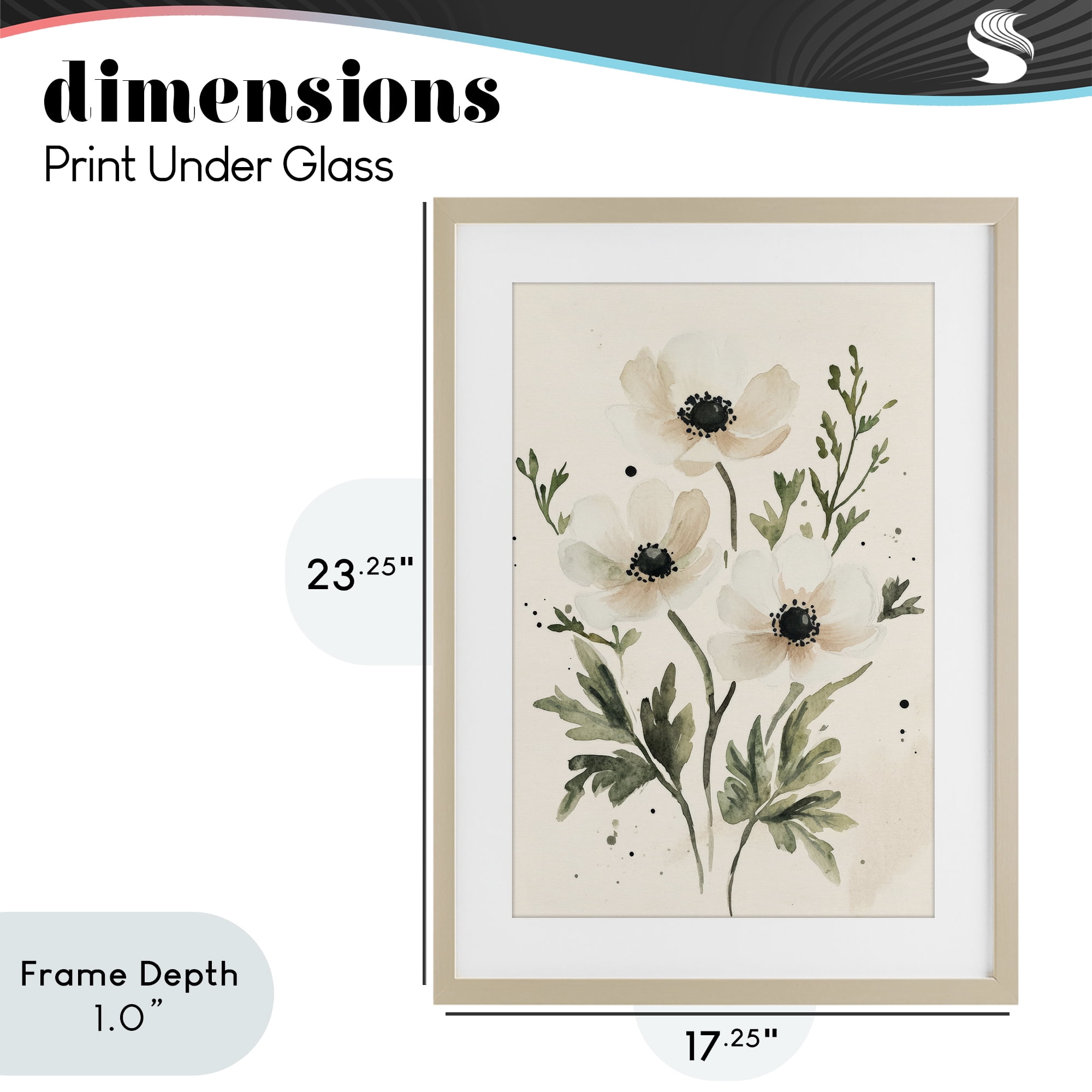 Stupell Industries Soft White Anemone Floral Birch Framed Print Under Glass, design by Petal Prints Design