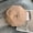 Camel (fur) autumn and winter recommendations!, variant on Black Beret For Women In Autumn And Winter, Japanese Style, Big Head, Round Bud Hat, Instagram Popular, Small Octagonal Painter Hat