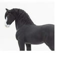 thumbnail image 5 of Safari Ltd. Shire Stallion Figurine - Lifelike 5" Horse Figure - Educational Toy for Boys, Girls, and Kids Ages 3+, 5 of 5