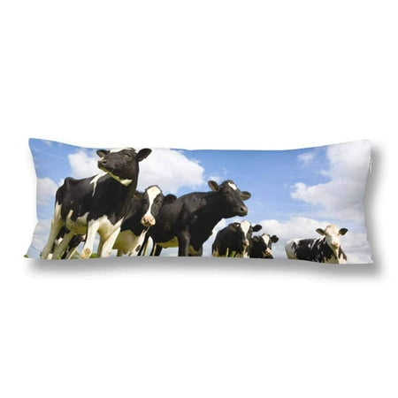 Cow pillow cheap case