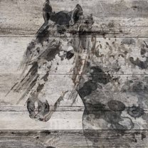 Marmont Hill "Dark Grey Horse" by Irena Orlov Painting Print on Wrapped Canvas