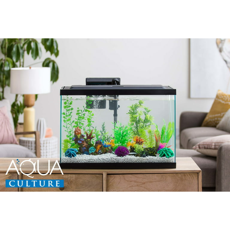 Aqua Culture Aquarium, Glass Starter Fish Tank or Terrarium, 10 Gallon 