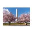 thumbnail image 2 of Mall Washington Blossom Festival Nature Wilderness Photography Canvas Wall Art for Home Decor Ready-to-Hang, 2 of 18