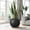 black, variant on U-HOMY 13.7'' H X 17.7'' W X 17.7'' D Modern Round Indoor Planters with Drainage Hole - White MgO Flower Pots, Large Size for Porch, Balcony & Indoor Areas
