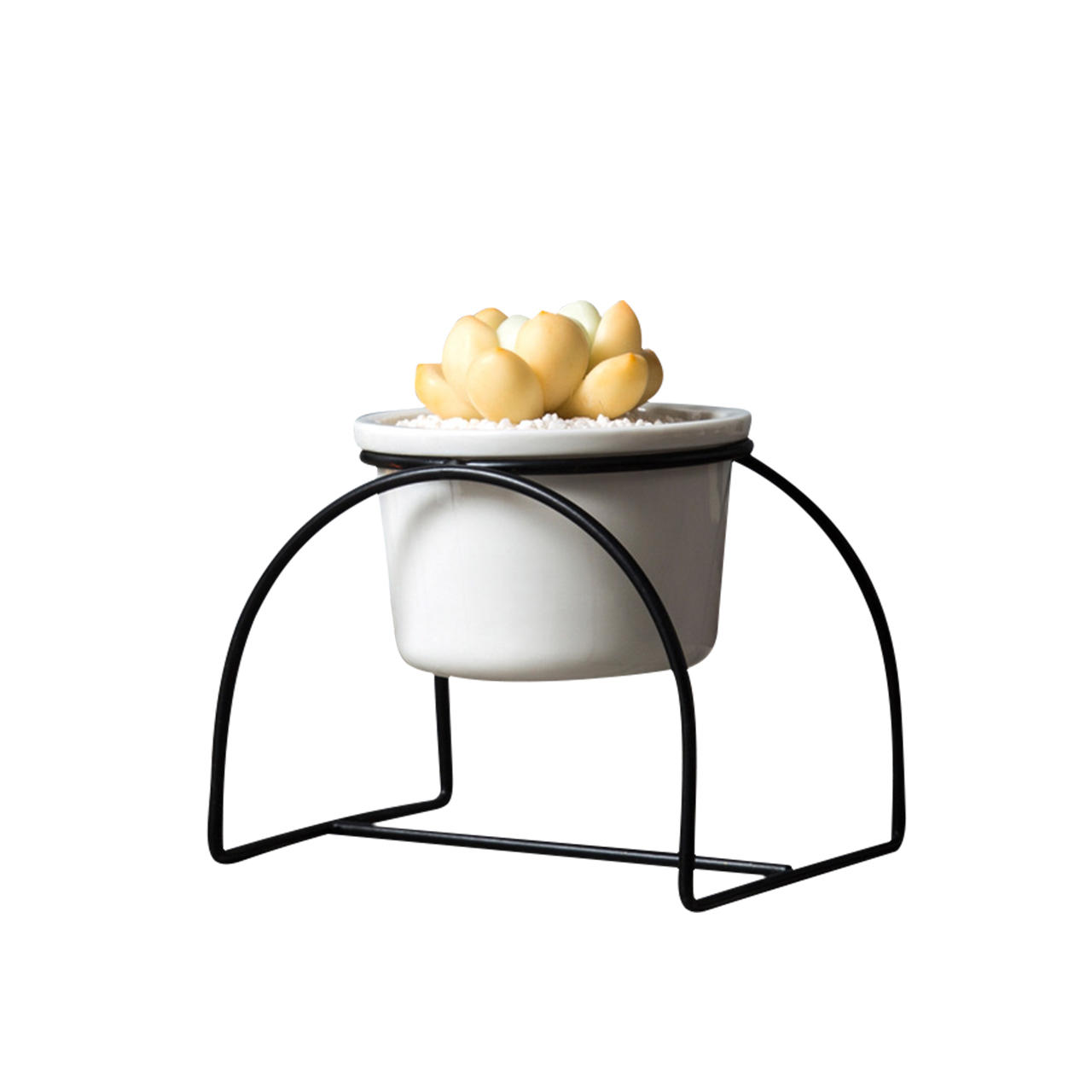 Simple Iron Arched Stand Ceramic Succulent Green Plant Flower Round Pot