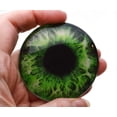 thumbnail image 3 of Intense Green Human Glass Eyes, 3 of 9