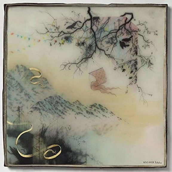Novo Amor - Birthplace - Music & Performance - CD
