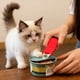 thumbnail image 2 of Abrelatas para gatos: gadget con forma graciosa, abrelatas para uso doméstico, interior, exterior y cocina, para uso diario, 2 of 4
