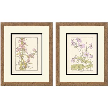 PTM Images Flowers Botanical Nature & Floral Framed Art Prints, Set of ...