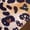 Brown, variant on Girls Leopard Print Latin Dance Dress Fringe Cha Cha Salsa Competition Skirt Ballroom Dance Outfits Brown 6