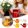 thumbnail image 7 of Watering Can for Indoor Plants, 35 oz/1000 ml Metal Stainless Steel Pot with Long Spout for House Plants Bonsai Outdoor Garden Flower Decorative,Red, 7 of 7