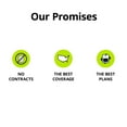 Straight Talk Moxee Mobile Hotspot, Wireless WiFi NoContract