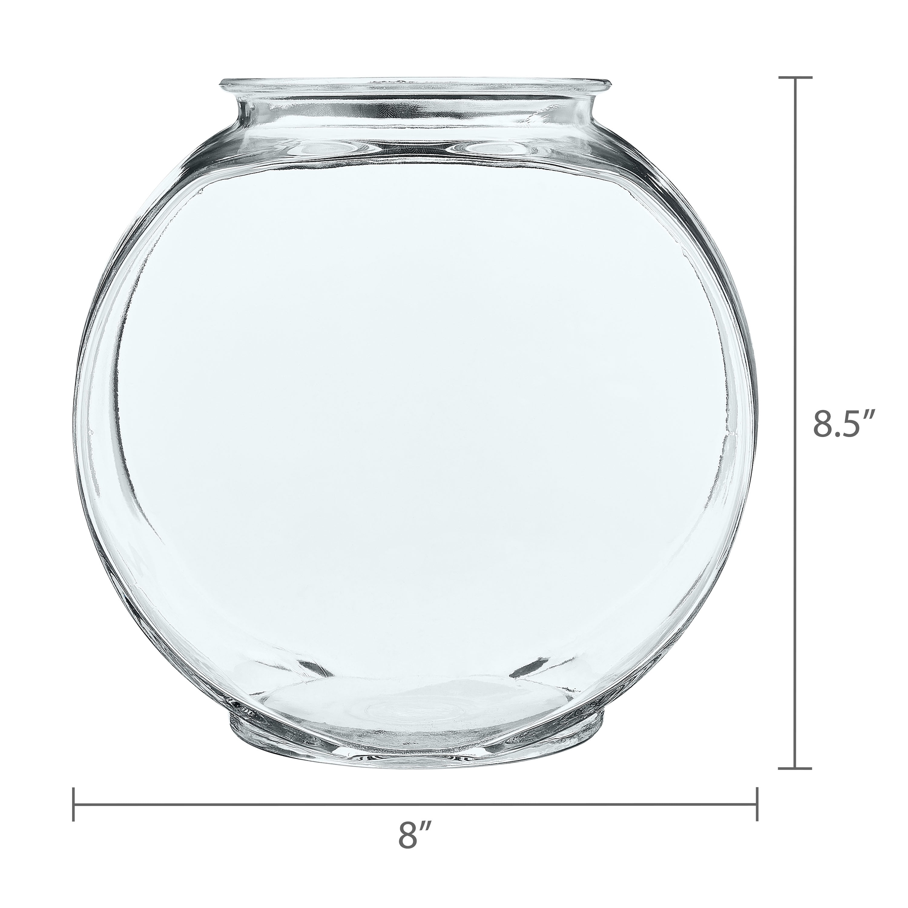 Vibrant Life Glass Fish Bowl with Starter Kit, 1 Gallon