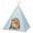 Blue, variant on Precious Tails Ticking Stripe Canvas Pet Tee Pee