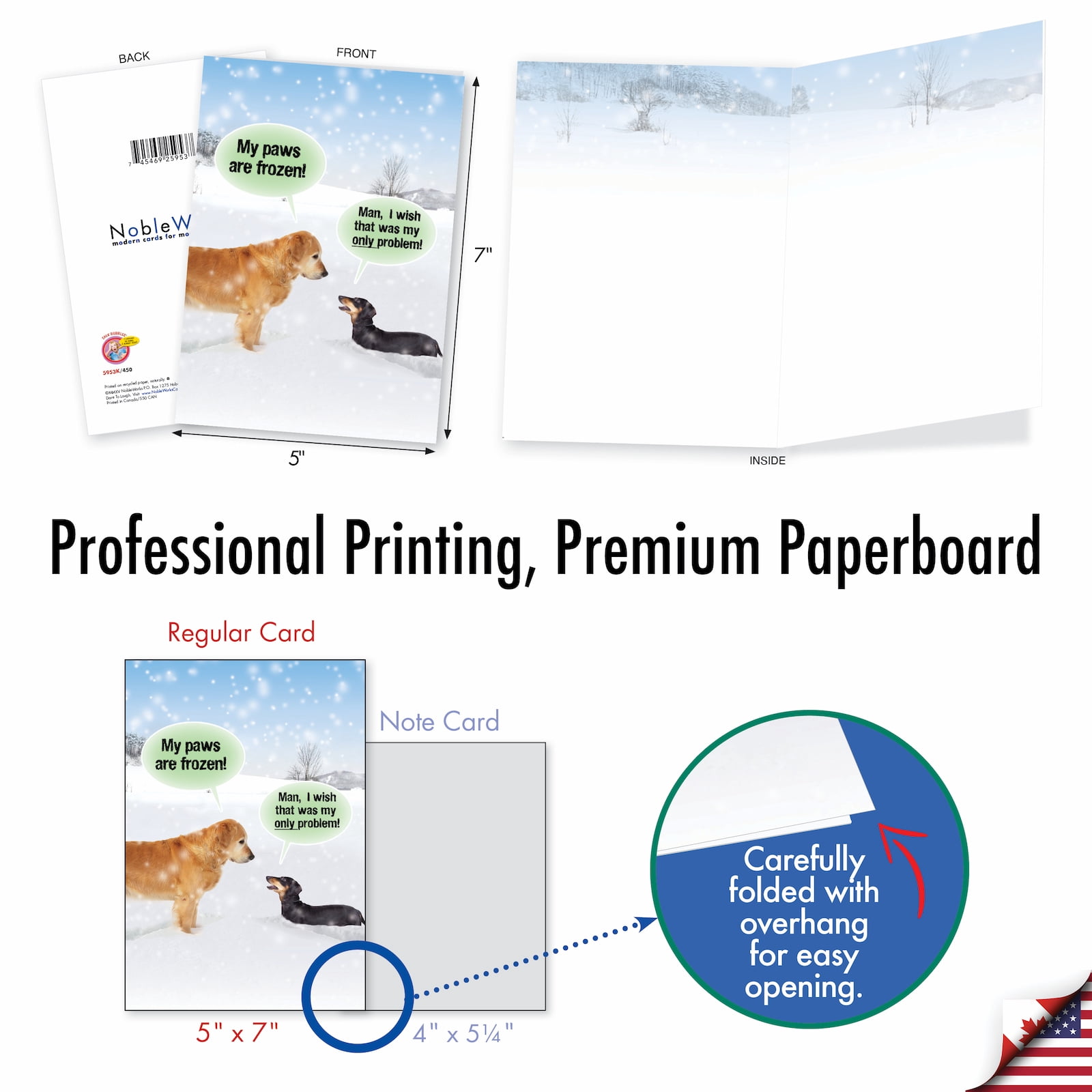 NobleWorks 36 Assorted Box Set Funny Blank Greeting Cards w/5 x 7 Inch Envelopes (36 Designs, 1 Each) Blank All Occasions Barking Blanks AC7753OCB-B1x36