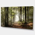 thumbnail image 3 of Designart Green Fall Forest with Sun Rays Canvas Wall Art, 3 of 4