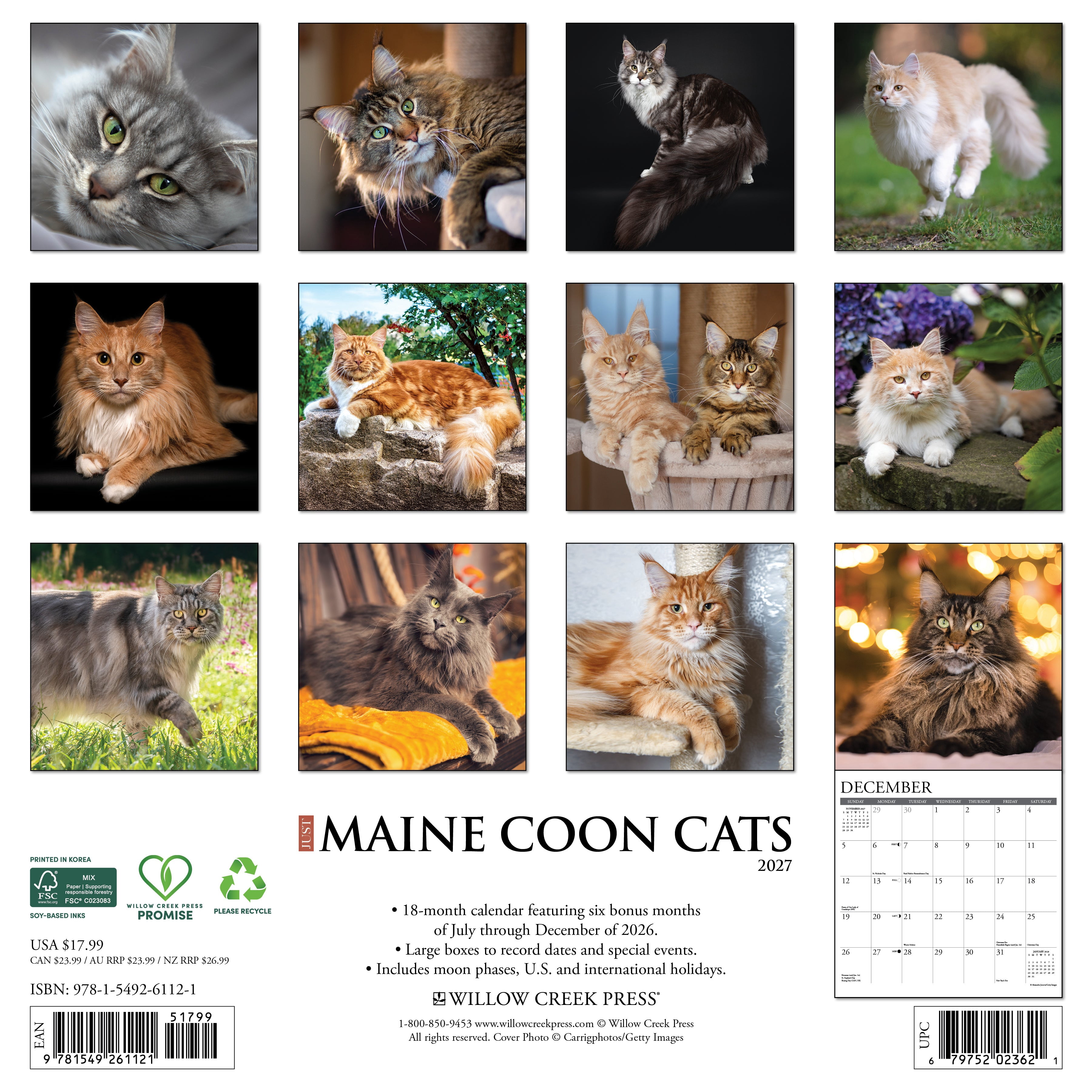 Willow Creek Press, Maine Coon Cats 2027 Wall Calendar