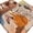 Light Brown Oatmeal Dark Yellow, variant on 5'x7' Area Rugs for Living Room Bedroom, Western Cowboys Washable Rug Carpet Runner Indoor Outdoor, Vintage Boho Abstract Cactus Beige Non Slip Floor Mats Area Rug for Kitchen, Nursery