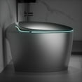 thumbnail image 5 of WinZo Luxury Smart Toilet With Bidet Seat, Elongated Egg Shaped Modern Design, Auto Open Auto Flush, Adjusted Heated Seat, Warm Water and Dryer, Night Light, Side Buttons, Gray, 5 of 8